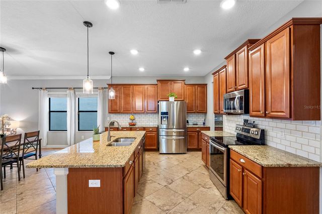 19343 PADDOCK VIEW DRIVE, Tampa, FL 33647