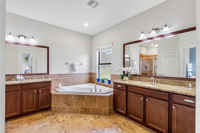 19343 PADDOCK VIEW DRIVE, Tampa, FL 33647
