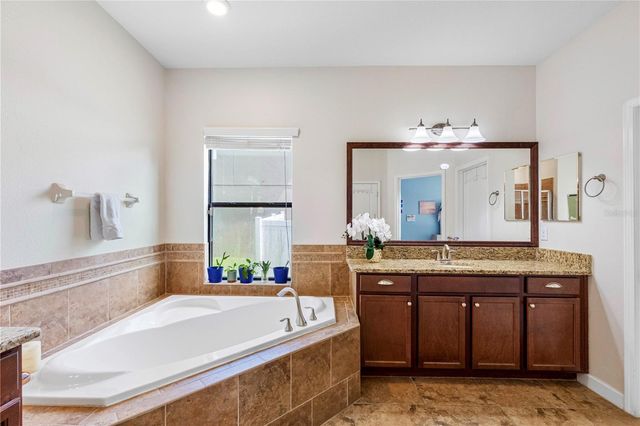 19343 PADDOCK VIEW DRIVE, Tampa, FL 33647