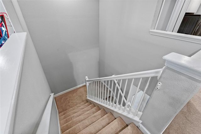 19343 PADDOCK VIEW DRIVE, Tampa, FL 33647