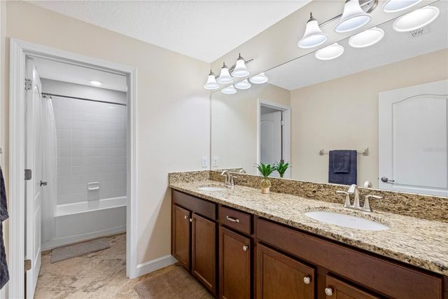 19343 PADDOCK VIEW DRIVE, Tampa, FL 33647