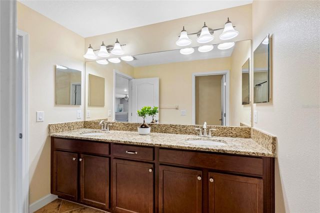 19343 PADDOCK VIEW DRIVE, Tampa, FL 33647