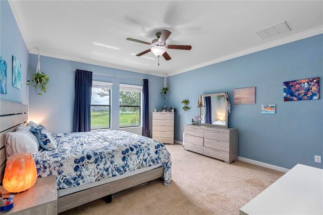 19343 PADDOCK VIEW DRIVE, Tampa, FL 33647