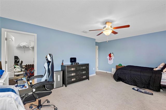 19343 PADDOCK VIEW DRIVE, Tampa, FL 33647