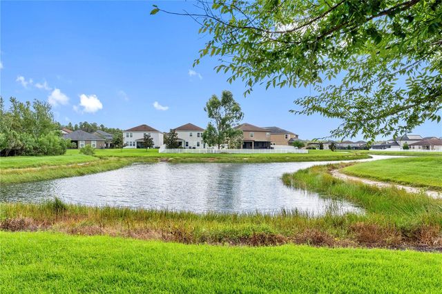 19343 PADDOCK VIEW DRIVE, Tampa, FL 33647