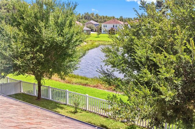 19343 PADDOCK VIEW DRIVE, Tampa, FL 33647