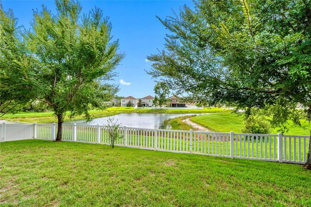 19343 PADDOCK VIEW DRIVE, Tampa, FL 33647