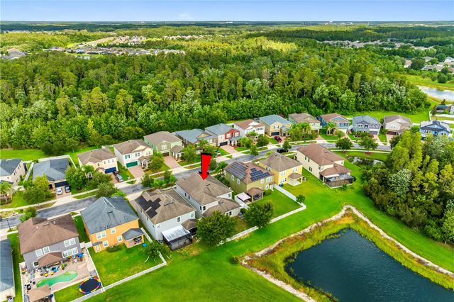19343 PADDOCK VIEW DRIVE, Tampa, FL 33647