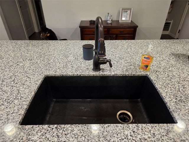 461 Grace Lilly Drive GLNS, Buda, TX 78610