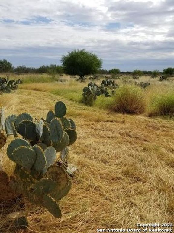 0 HWY-85, Dilley, TX 78017