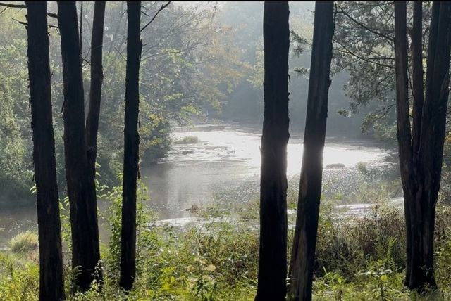 7200 Primrose Ln, Lascassas, TN 37085