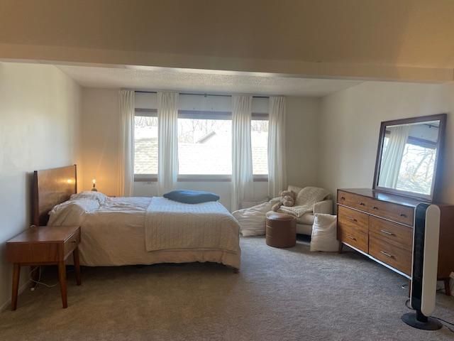 5461 E Brenner Pass, Fridley, MN 55432