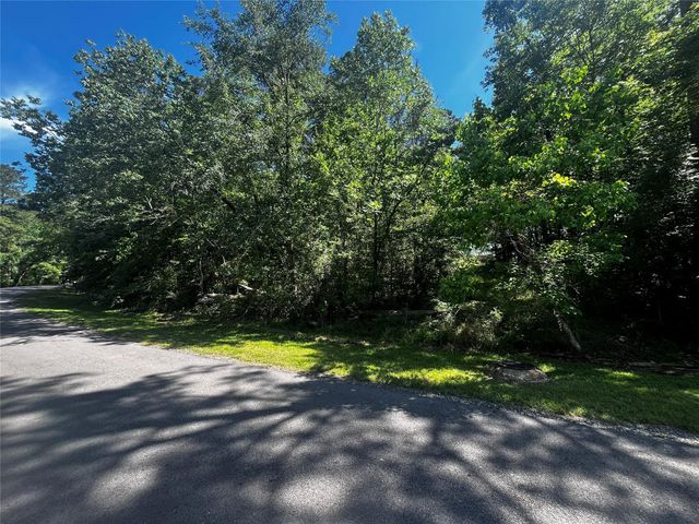70 Wentworth Lane, Coldspring, TX 77331