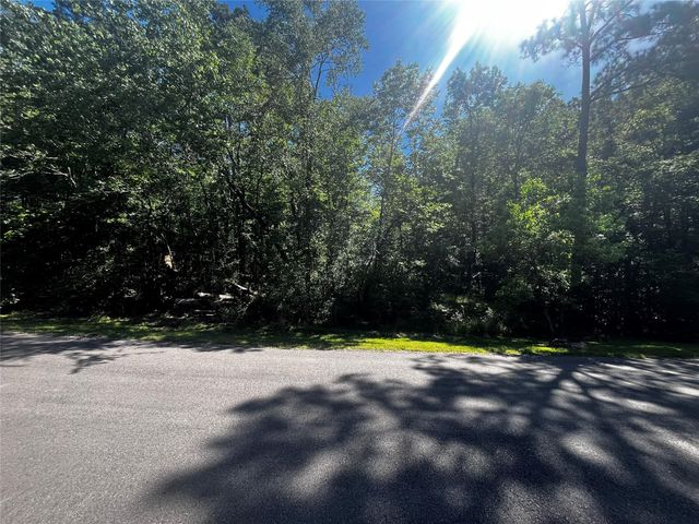 70 Wentworth Lane, Coldspring, TX 77331