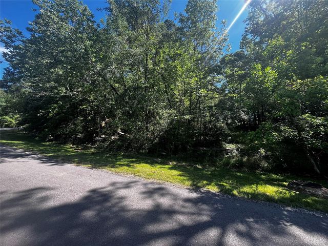 70 Wentworth Lane, Coldspring, TX 77331