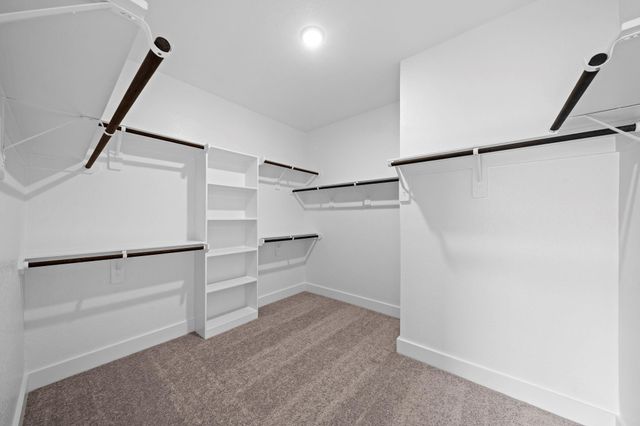 116 Coastal Prairie Drive, Waller, TX 77484