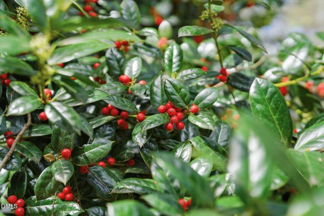 131 Pondfield Court, Clayton, NC 27527