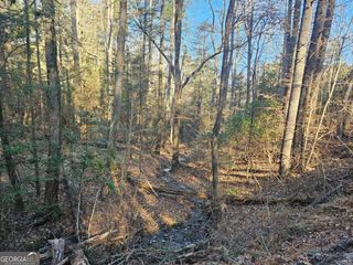 LT 1620 Nexus Drive, Ellijay, GA 30540