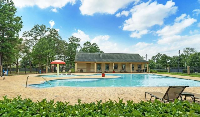 18616 Birch Orchard Court, Magnolia, TX 77355