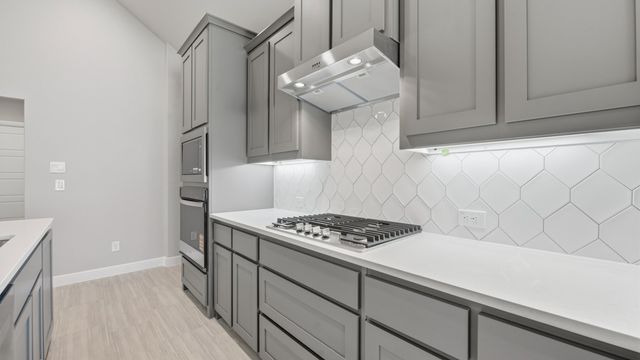 11316 WINGED ELM Way, Justin, TX 76247