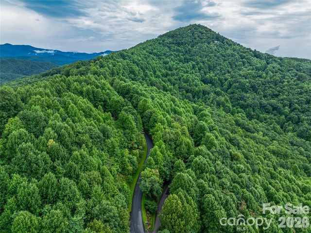 9999 Kestrel Lane, Black Mountain, NC 28711