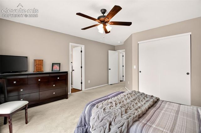 7005 Isle Bay Point, Colorado Springs, CO 80922