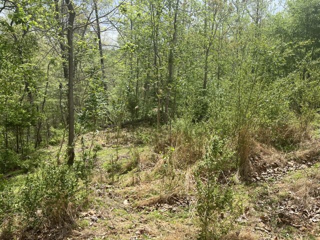 2222 Valley View Rd, Joelton, TN 37080