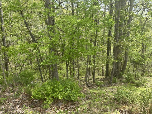 2222 Valley View Rd, Joelton, TN 37080
