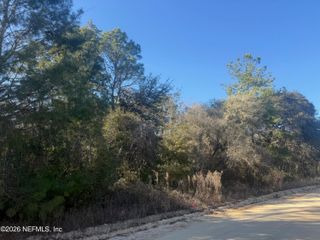 147 NETTLES Road, Florahome, FL 32140