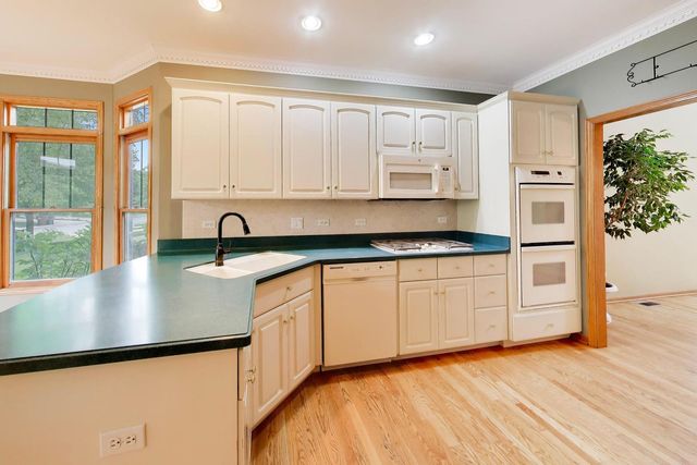 21714 Cappel Lane, Frankfort, IL 60423