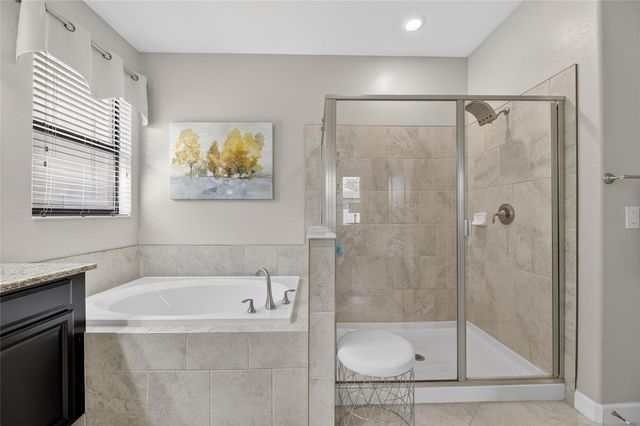 10802 GREAT CORMORANT DRIVE, Riverview, FL 33579