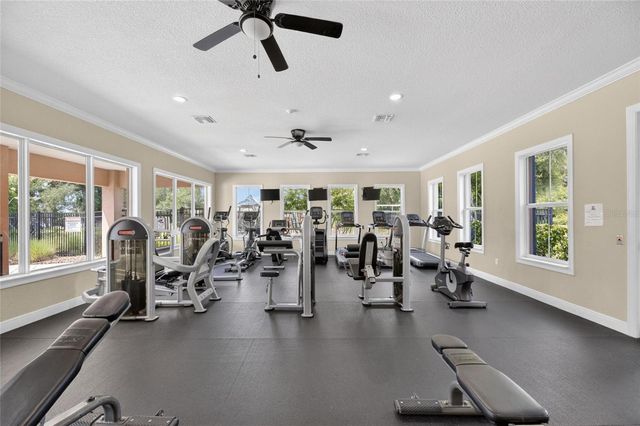 10802 GREAT CORMORANT DRIVE, Riverview, FL 33579
