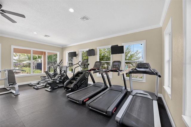 10802 GREAT CORMORANT DRIVE, Riverview, FL 33579