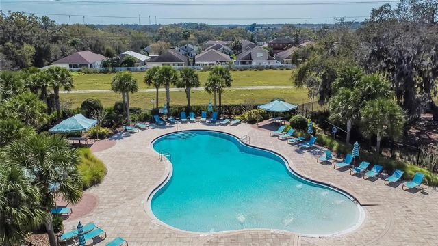 10802 GREAT CORMORANT DRIVE, Riverview, FL 33579
