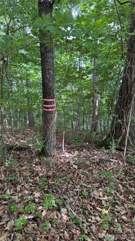 99999 Beaverdam Loop Road, Candler, NC 28715