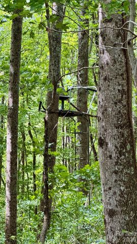 99999 Beaverdam Loop Road, Candler, NC 28715