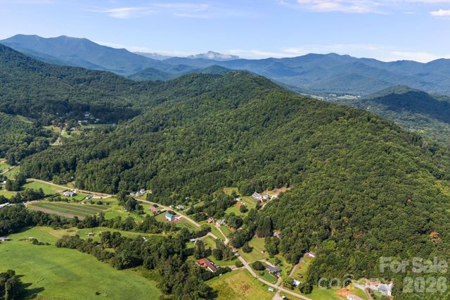 99999 Beaverdam Loop Road, Candler, NC 28715