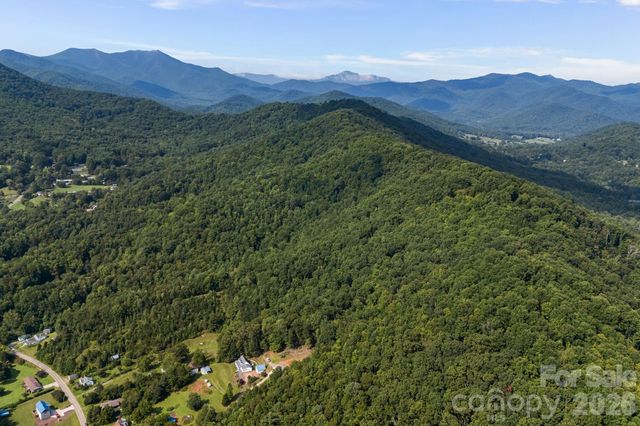 99999 Beaverdam Loop Road, Candler, NC 28715