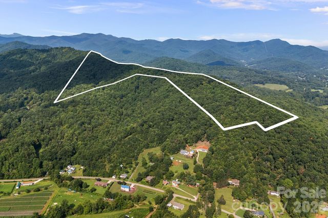 99999 Beaverdam Loop Road, Candler, NC 28715