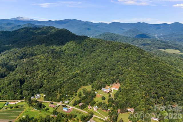 99999 Beaverdam Loop Road, Candler, NC 28715