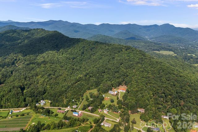 99999 Beaverdam Loop Road, Candler, NC 28715