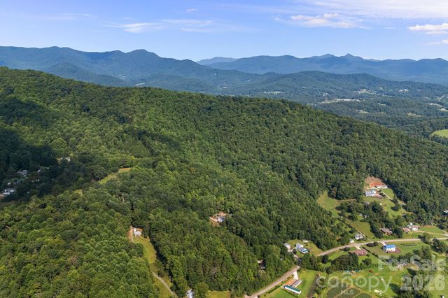 99999 Beaverdam Loop Road, Candler, NC 28715