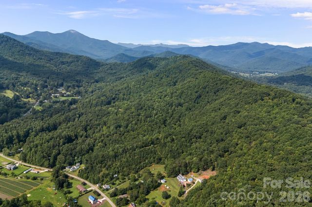 99999 Beaverdam Loop Road, Candler, NC 28715
