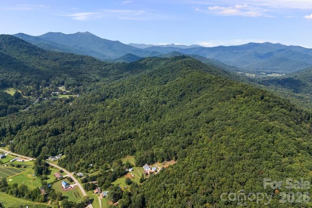 99999 Beaverdam Loop Road, Candler, NC 28715