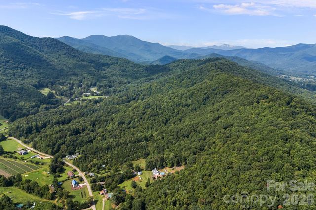 99999 Beaverdam Loop Road, Candler, NC 28715