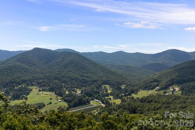 99999 Beaverdam Loop Road, Candler, NC 28715