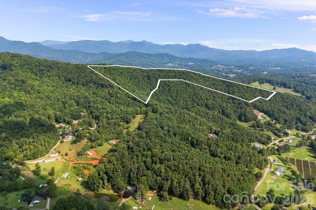 99999 Beaverdam Loop Road, Candler, NC 28715