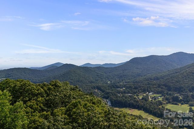 99999 Beaverdam Loop Road, Candler, NC 28715