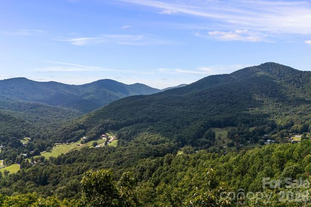 99999 Beaverdam Loop Road, Candler, NC 28715