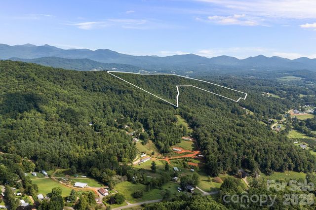 99999 Beaverdam Loop Road, Candler, NC 28715